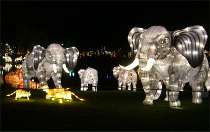 Elephant-shaped Lantern