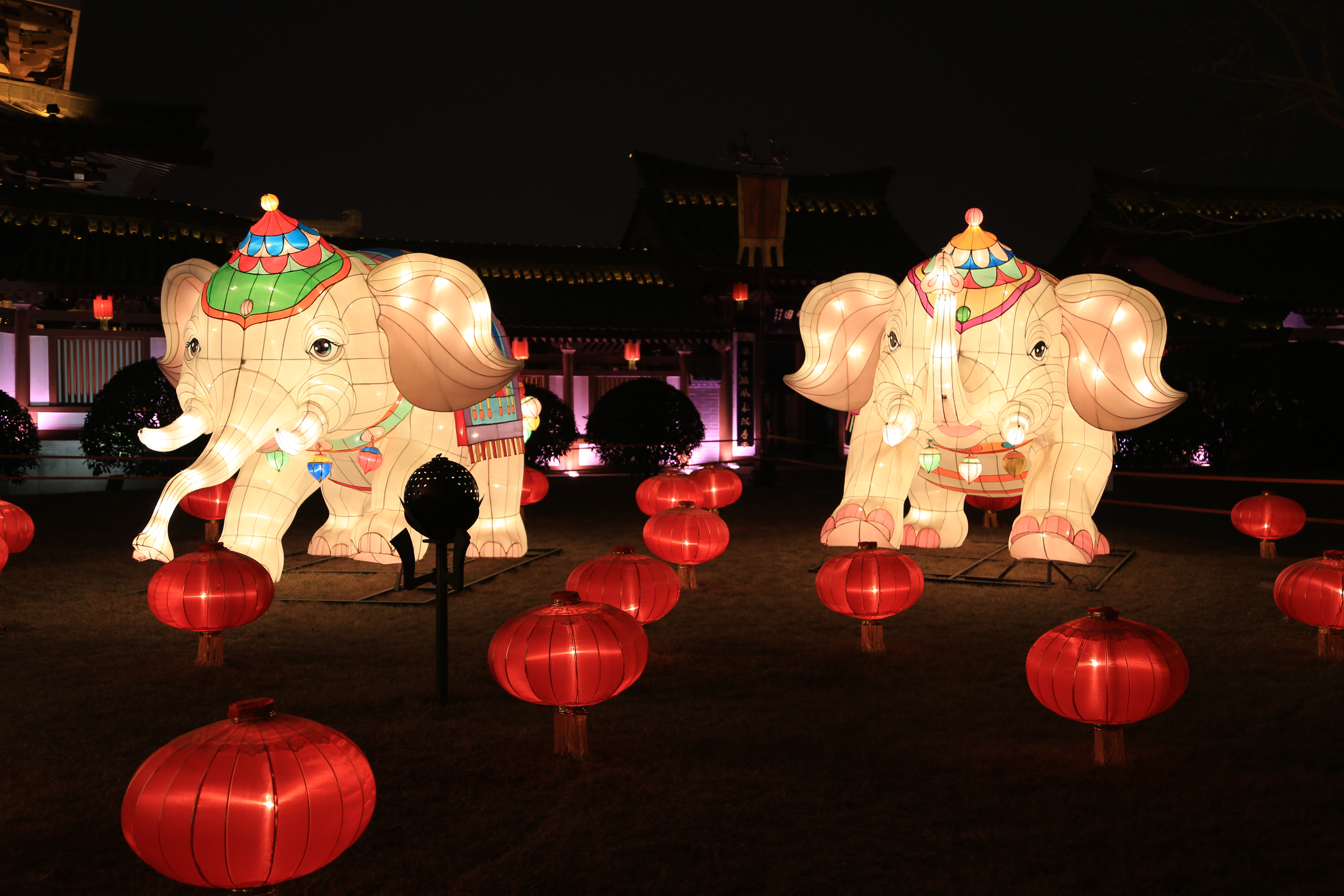 cartoon elephants lantern