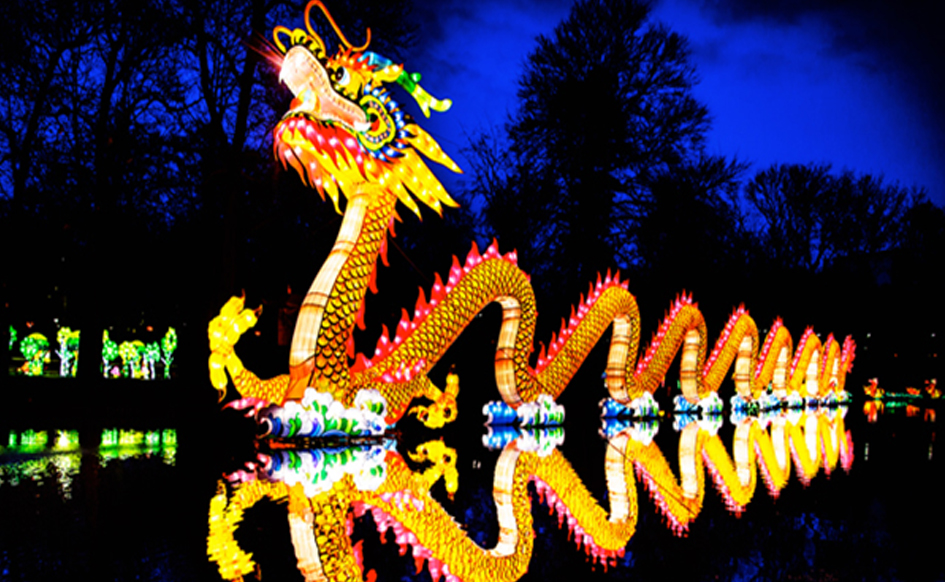 Chinese Dragon-shaped Lantern