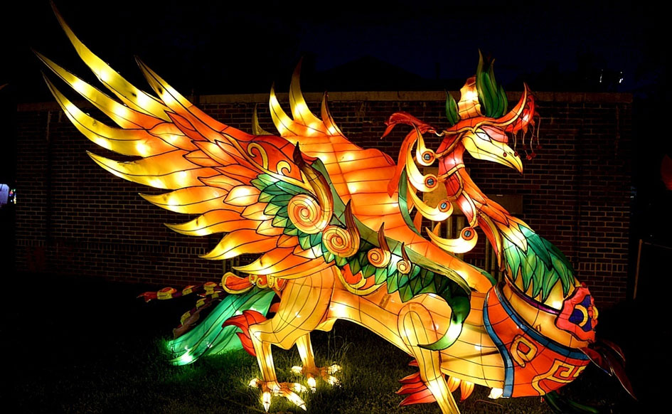 Chinese Lantern Dragon
